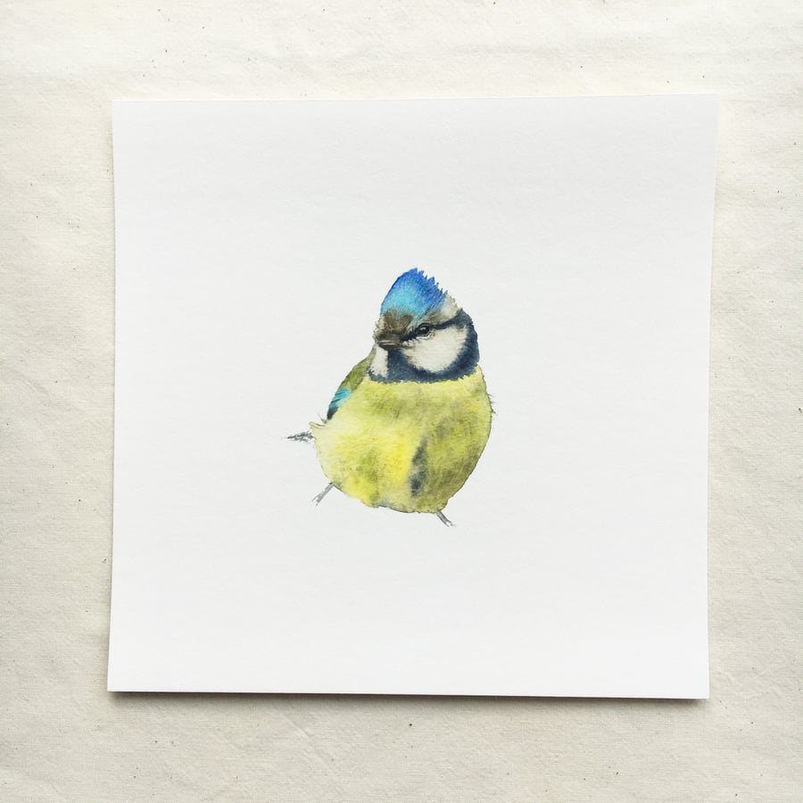 Watercolour blue tit giclée print
