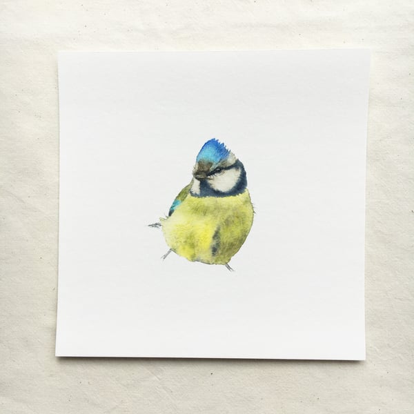 Watercolour blue tit giclée print