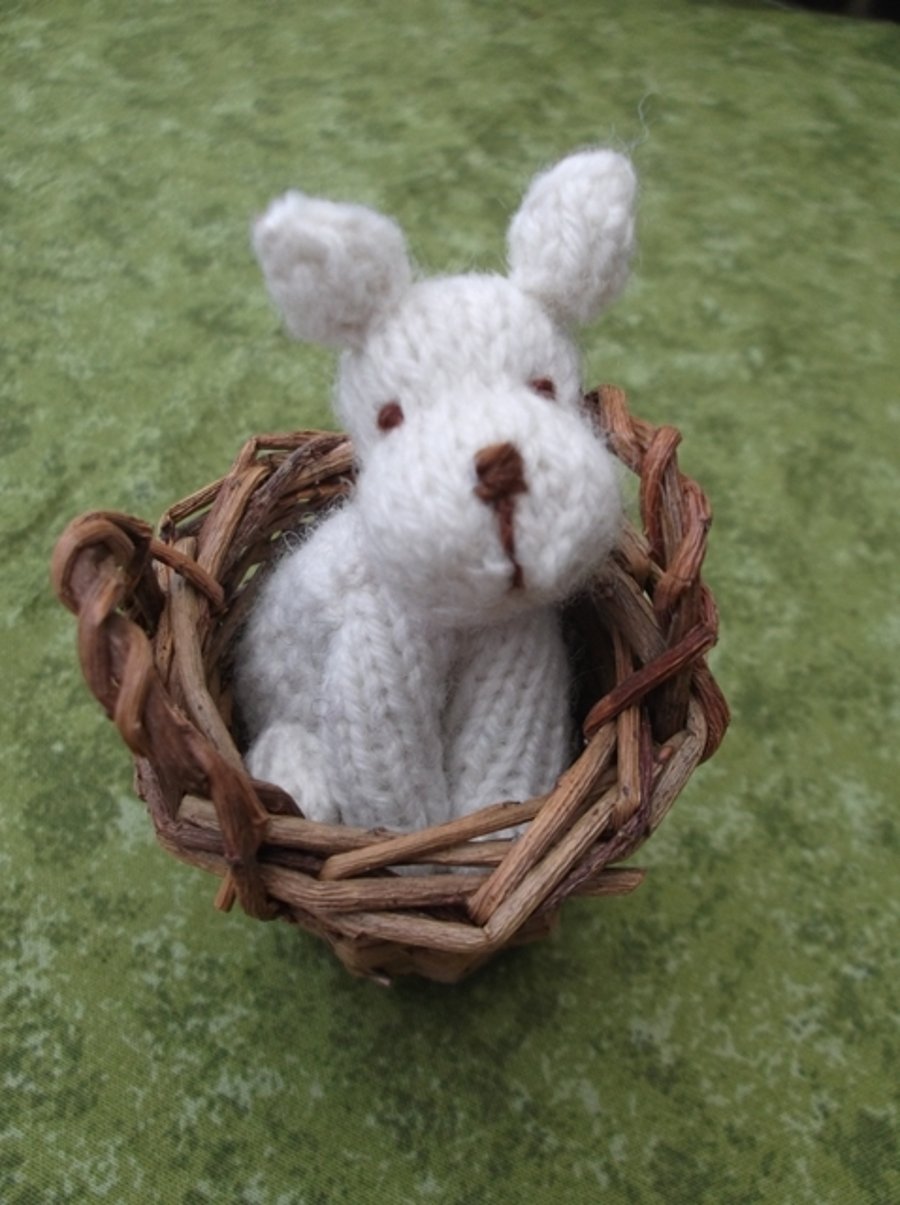 White dog in a basket