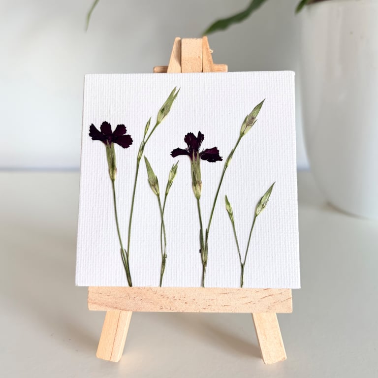Real Pressed Dianthus Flowers Mini Canvas on Wooden Easel, Mini Botanical Art