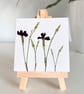 Real Pressed Dianthus Flowers Mini Canvas on Wooden Easel, Mini Botanical Art