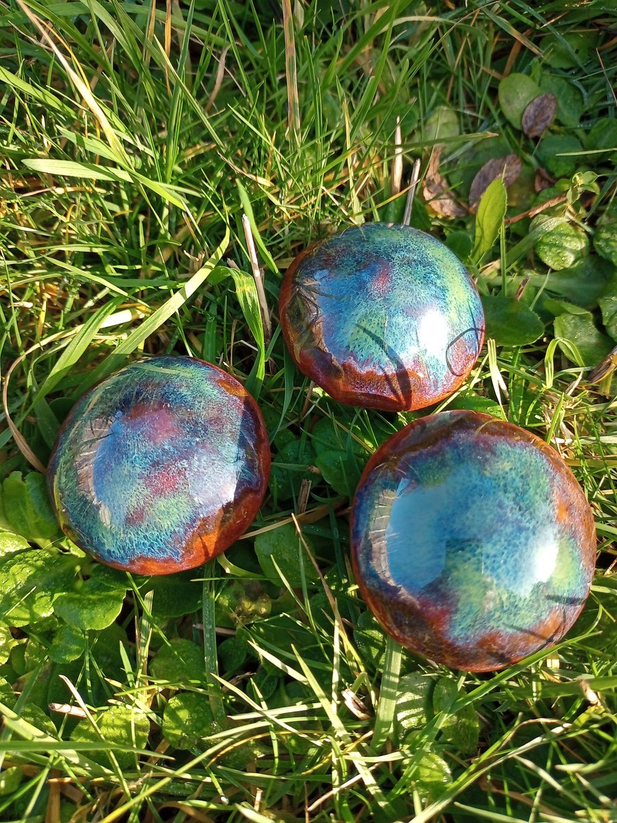 Mushroom trio Orange Bluecap