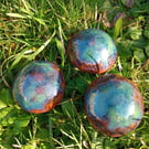Mushroom trio Orange Bluecap