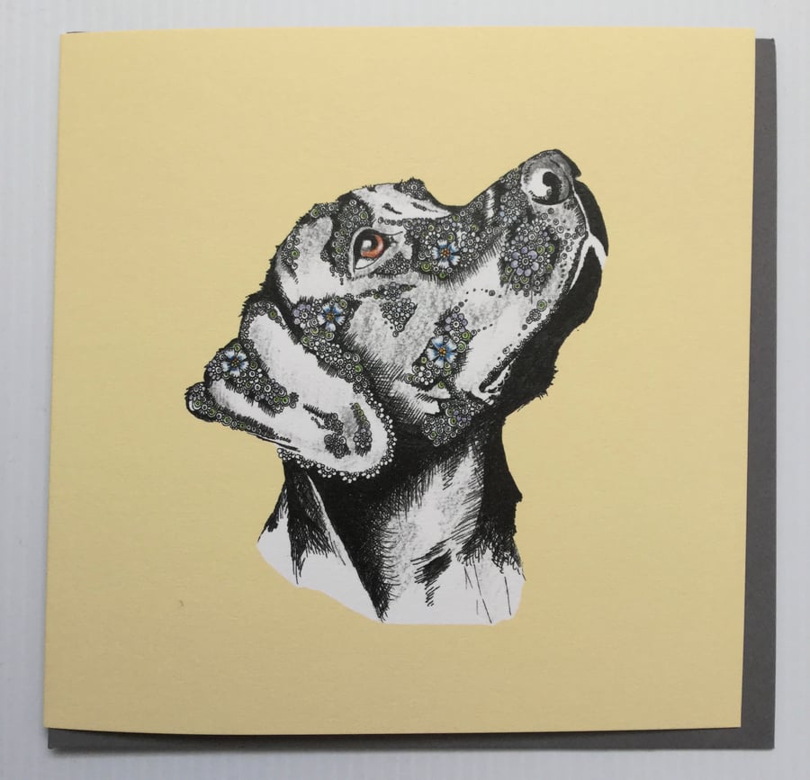 Coloured Labrador Greeting card 