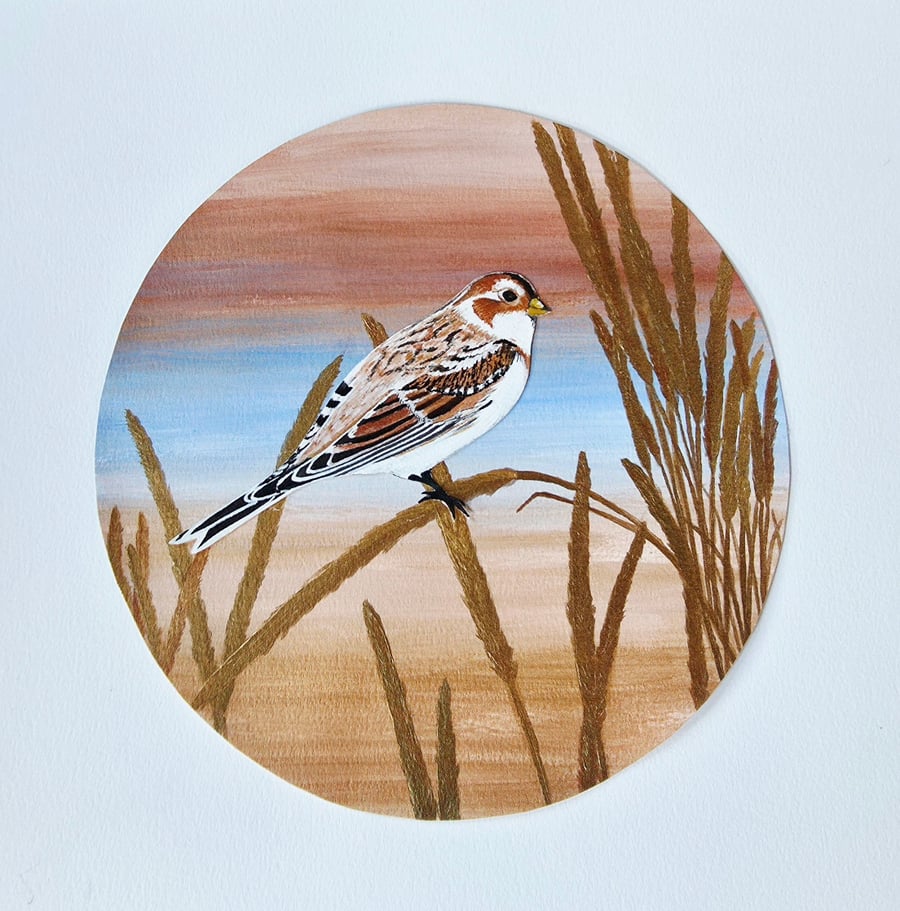 Original unframed Snow Bunting Painting