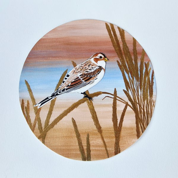 Original unframed Snow Bunting Painting