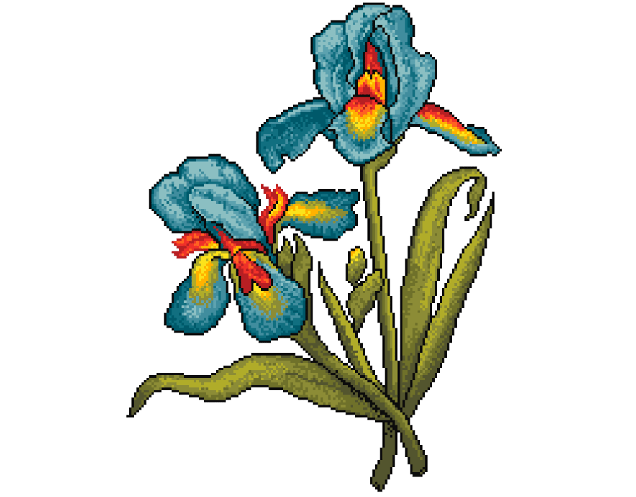 007 Cross Stitch Pattern Botanical Rainbow Blue Iris's - Vintage Victorian