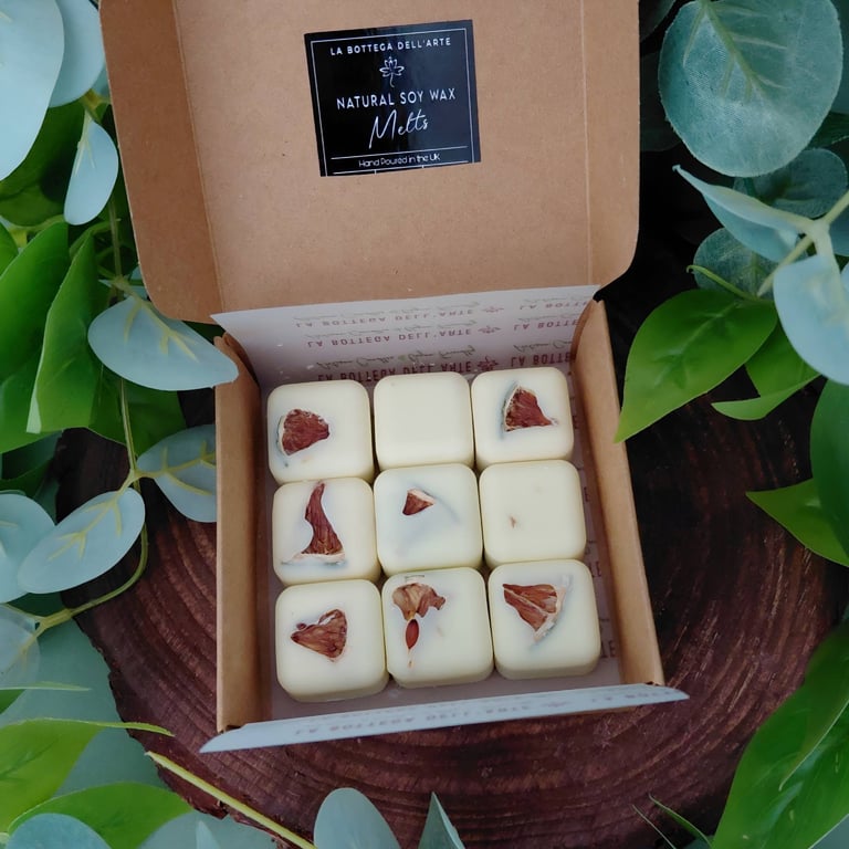 Lime Basil and Mandarin Soy Wax Melts Eco-Friendly Gift Box