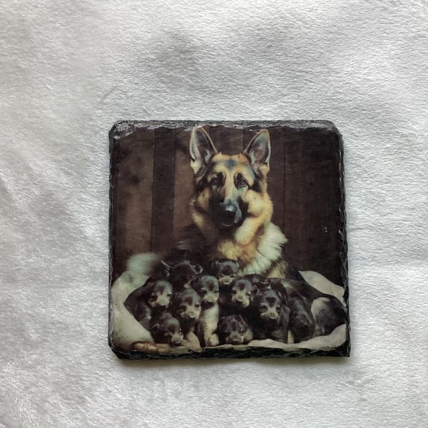 Dog coasters, 