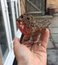 Wire Robin Sculpture - Image 3