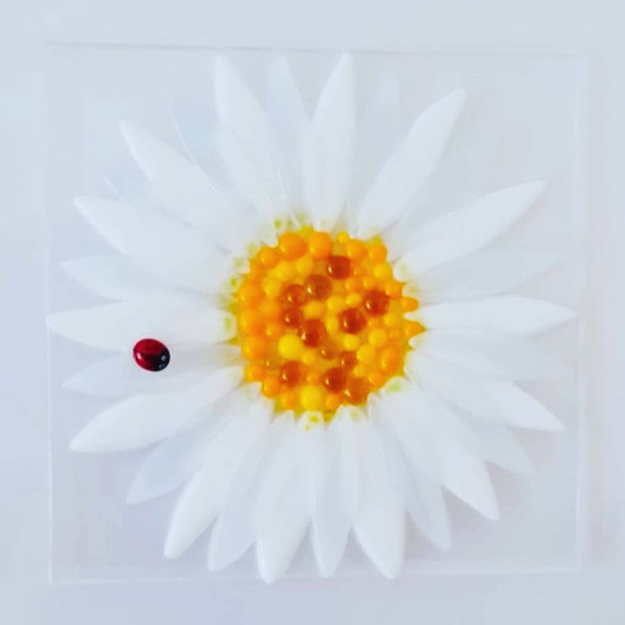 Daisy fused glass picture