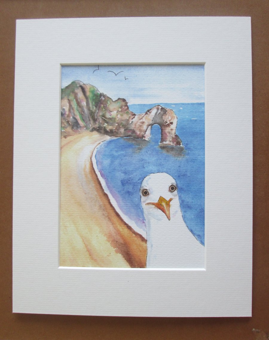 Seagull visiting Durdle Door at Dorset Coast