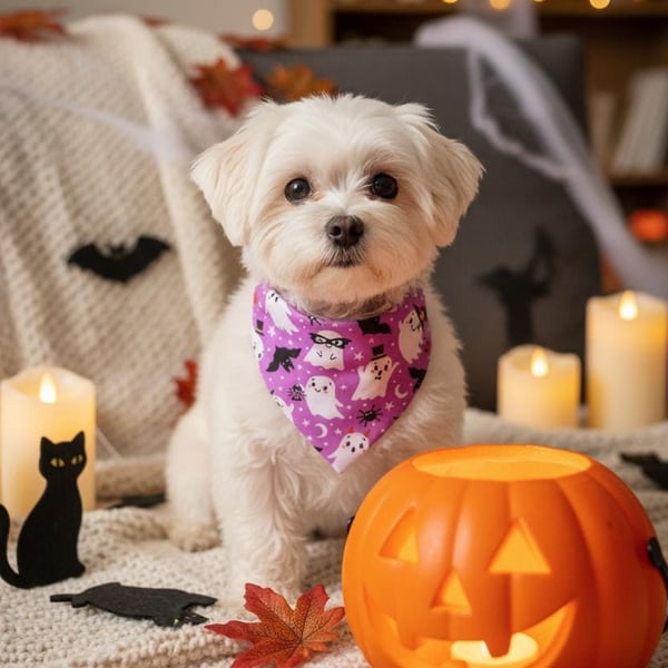 Halloween Dog Cat Bandana Purple Ghosts, No-Tie Scrunchie Style (Cotton)