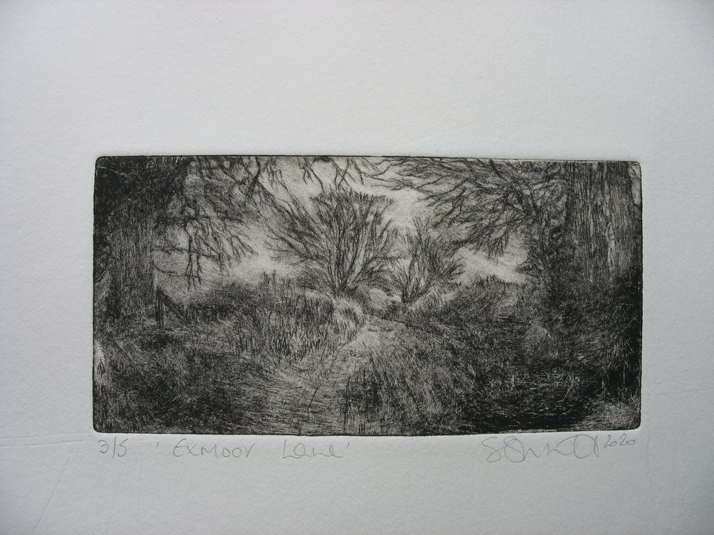 Moody drypoint etching 'Exmoor Lane'