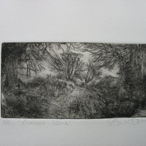 Moody drypoint etching 'Exmoor Lane'