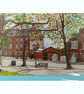 Highbury Fields Card