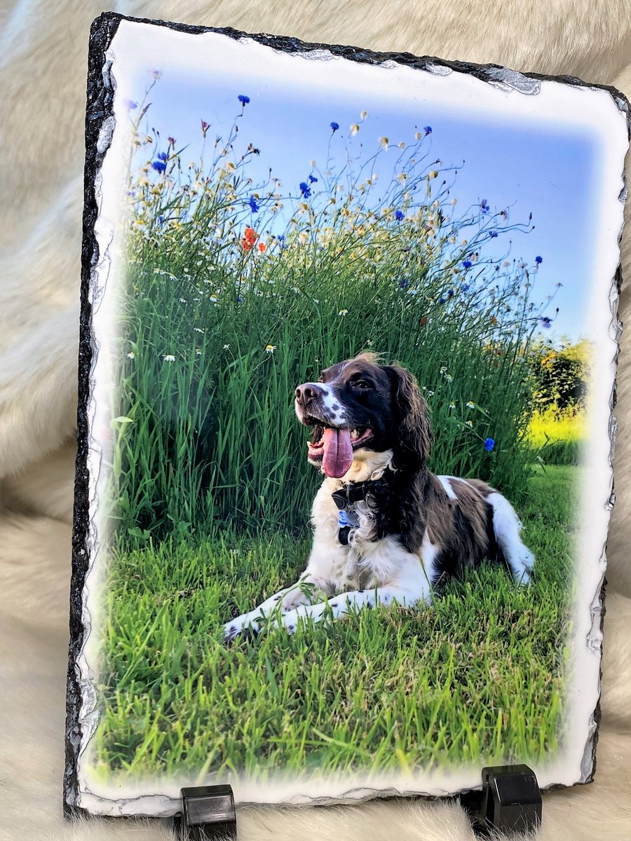 Custom Photo Slates 19.7cm x 14.7cm