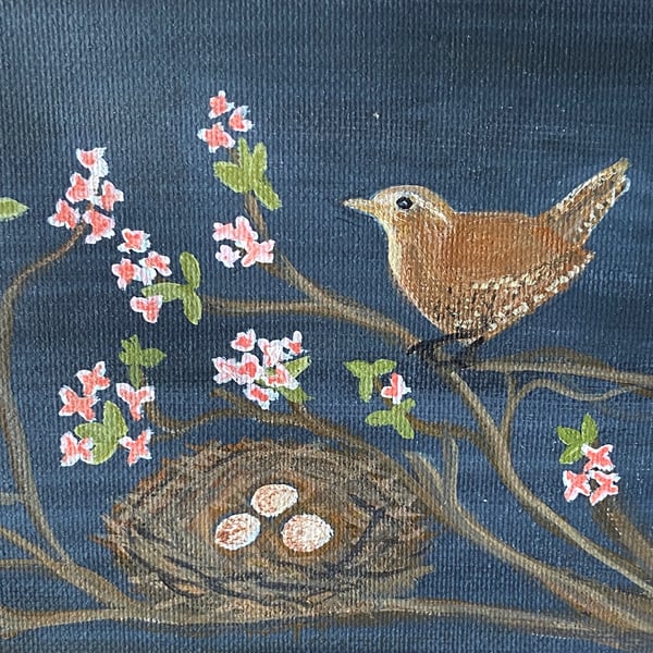 Wren with nest 