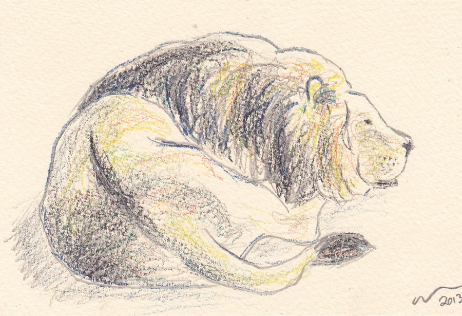 OSWOA Sleepy Lion Original Sketch Coloured Pencil 4x6 OOAK Cat
