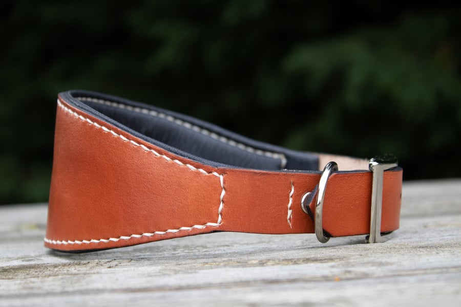 Padded leather greyhound whippet lurcher collar