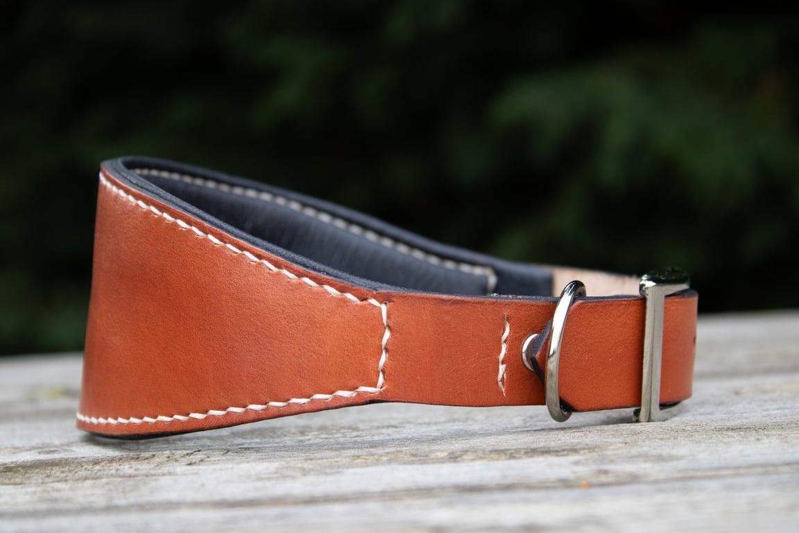Padded leather greyhound whippet lurcher collar