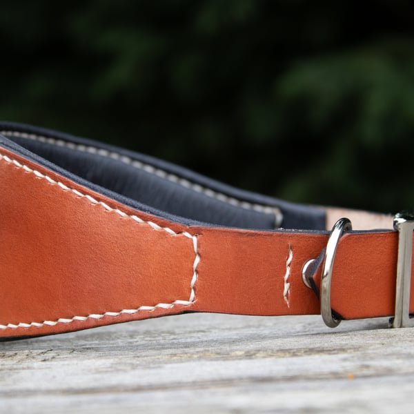 Padded leather greyhound whippet lurcher collar