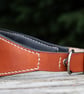 Padded leather greyhound whippet lurcher collar