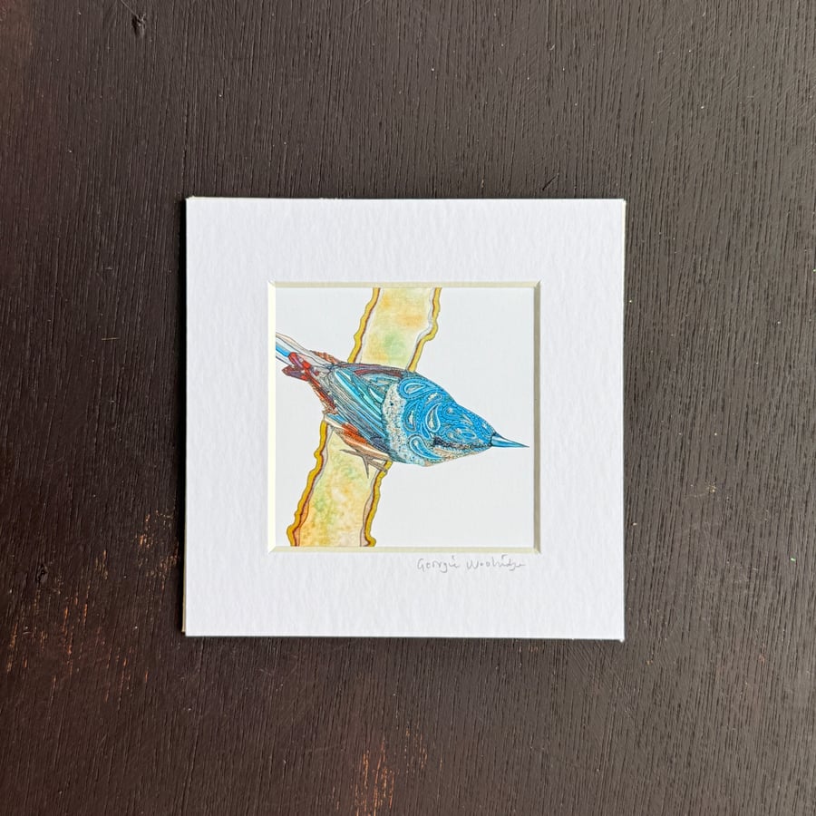 'Nuthatch' 5" x 5" Hand Finished Print
