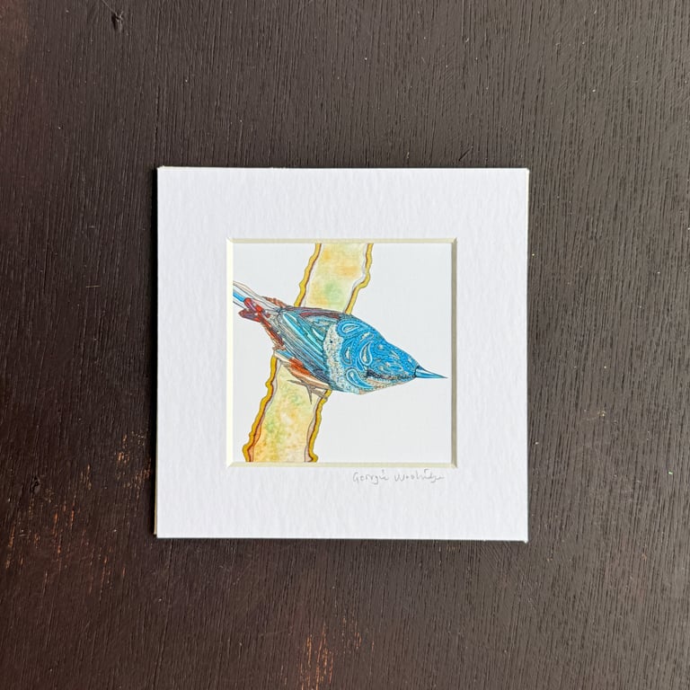 'Nuthatch' 5" x 5" Hand Finished Print