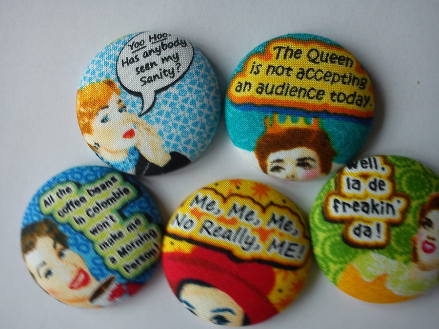 Sassy sayings quirky button magnets set of 5 in gift tin