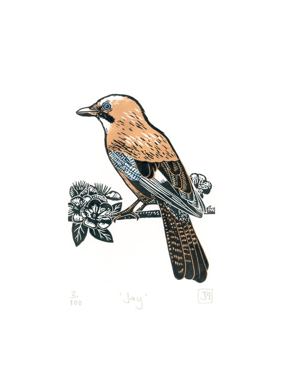 Jay three-colour linocut print