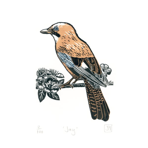 Jay three-colour linocut print