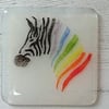 Zebra Fused Glass Coaster, Rainbow Zebra Coaster, Drinks Coaster, 