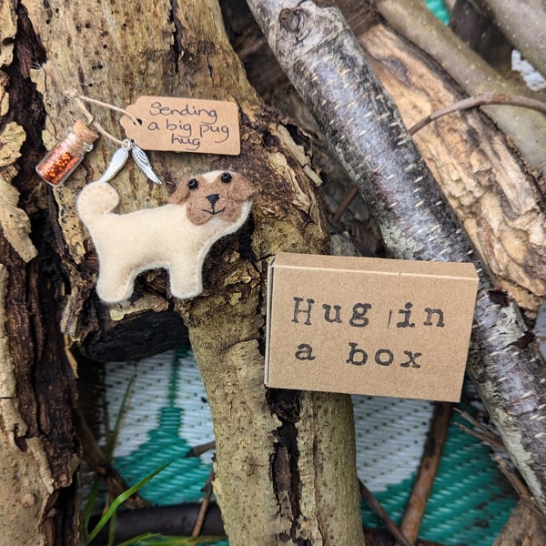Pug gift, hug in a box, pug fan, dog gift