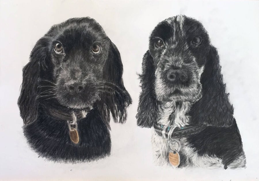 A3 Custom pet portrait for two pets made with coloured pencil