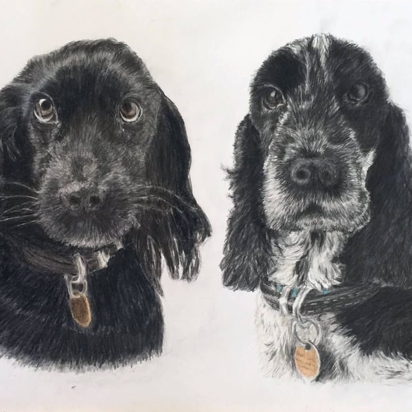 A3 Custom pet portrait for two pets made with coloured pencil