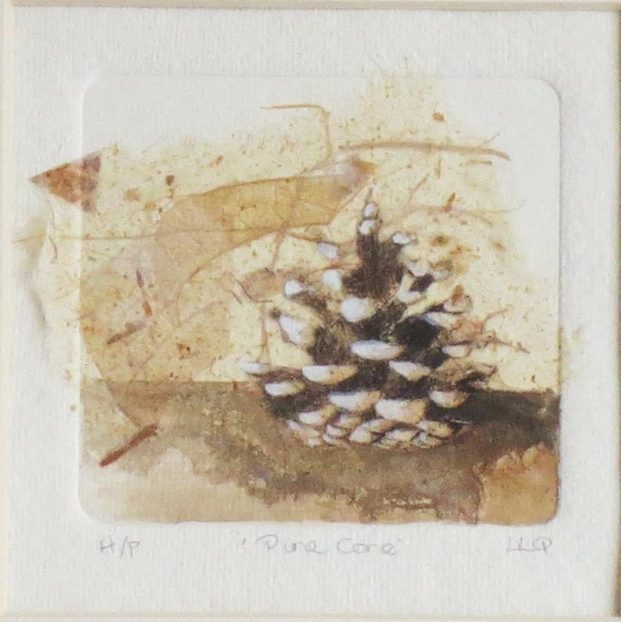 Original dry point print with chine colle of a pine cone