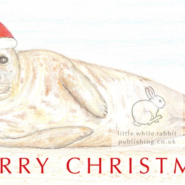 Seal - Christmas Card