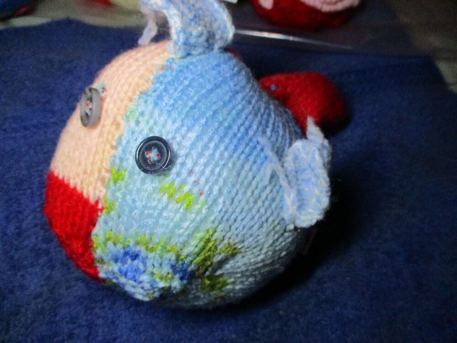 Peach Red Blue Rainbow Midi Fish with Grey Blue Eyes Knitted By KM