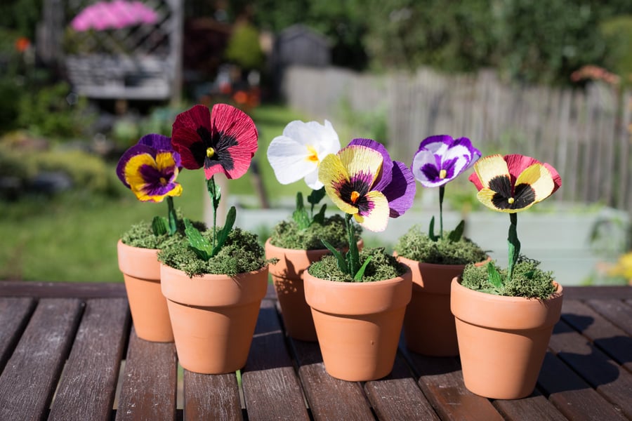 Paper Pansy Pots