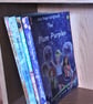 The Back Garden Gang Middle Grade Children's Book Paperback  Dance Summer - Image 5