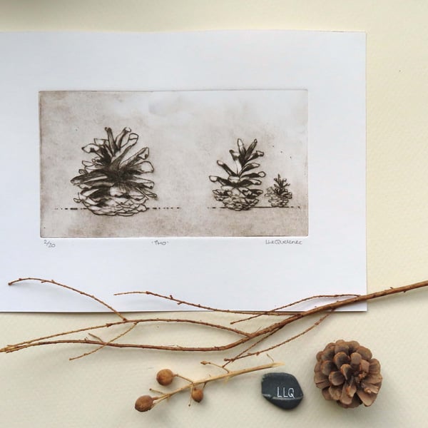 Original drypoint etching of three pinecones in sepia limited edition