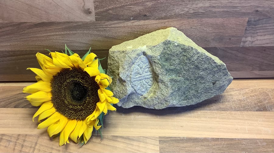 Voided long cross No 2 ‘coin in clod' stone carving -  metal detectorist gift 