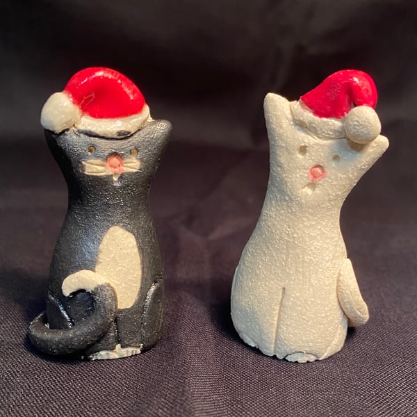 Christmas cracker cat