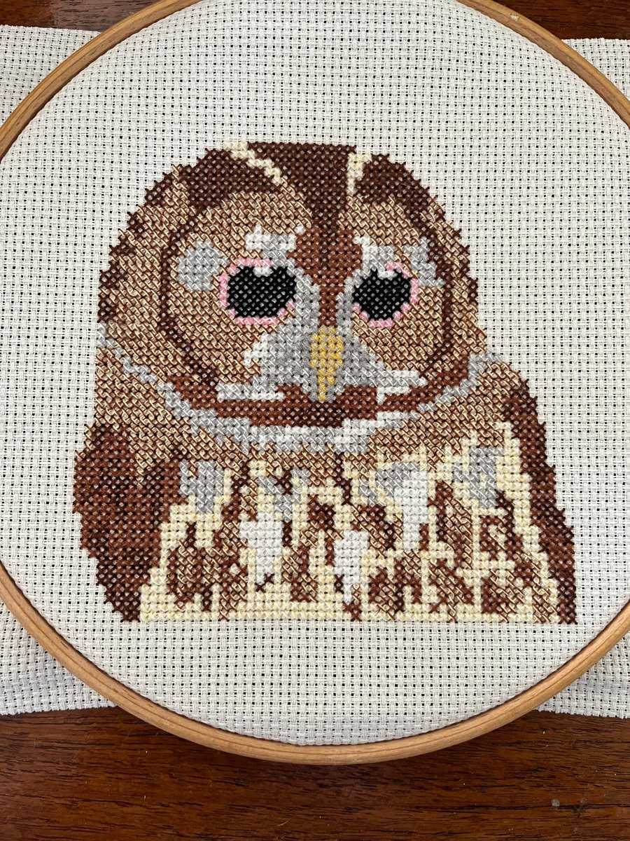 Tawny Owl counted cross stitch kit