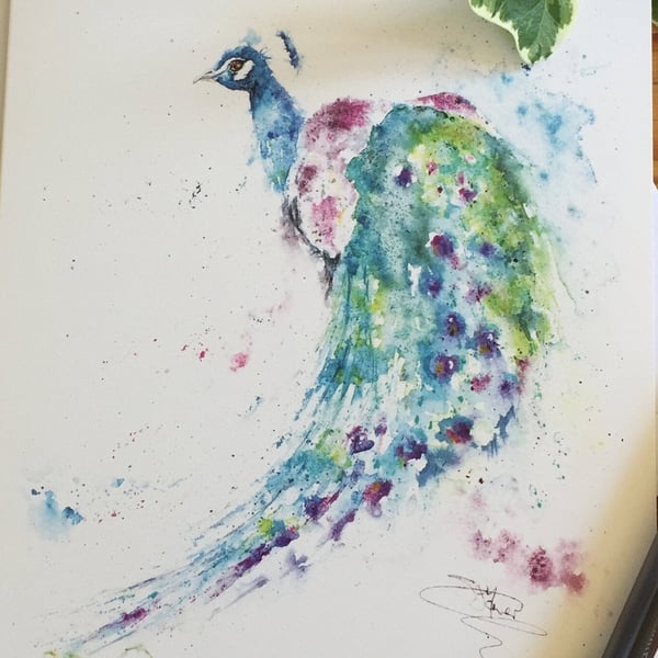 Peacock Watercolour Greetings Card, A5 with envelope