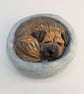 Border Terrier Yorkshire Pudding - 2 - Image 1