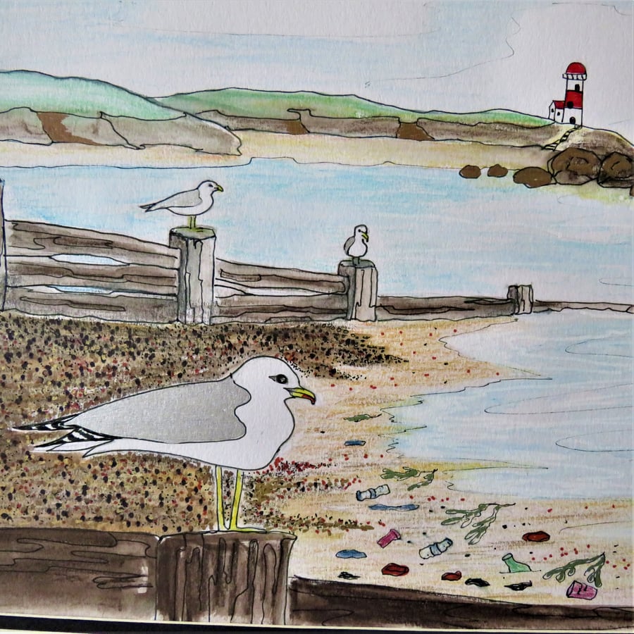 Pen and paint artwork-seagulls-environment-coastal-picture