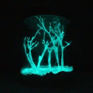 Tiny Glowing Forest in a Jar - READY TO SHIP