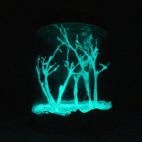 Tiny Glowing Forest in a Jar - READY TO SHIP